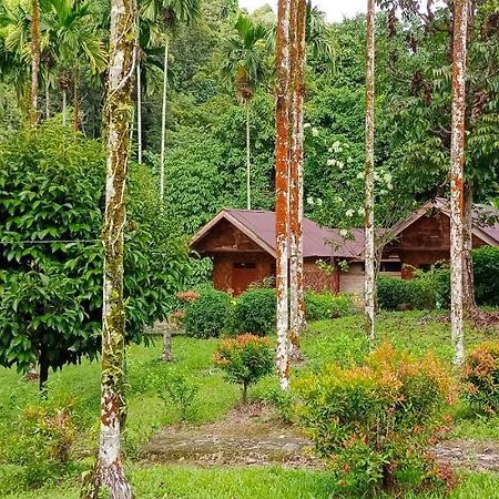 Green Lodge Tangkahan מראה חיצוני תמונה