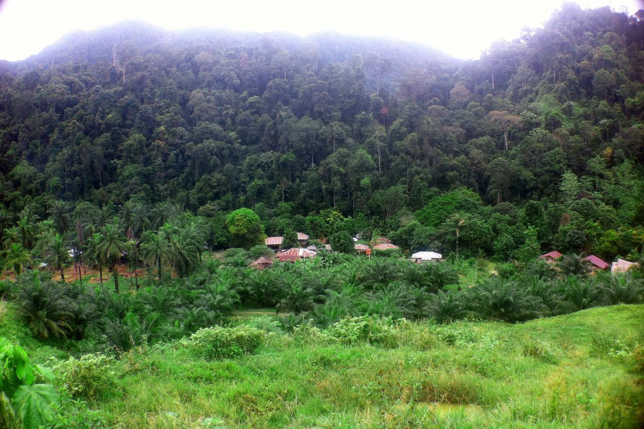 Green Lodge Tangkahan מראה חיצוני תמונה