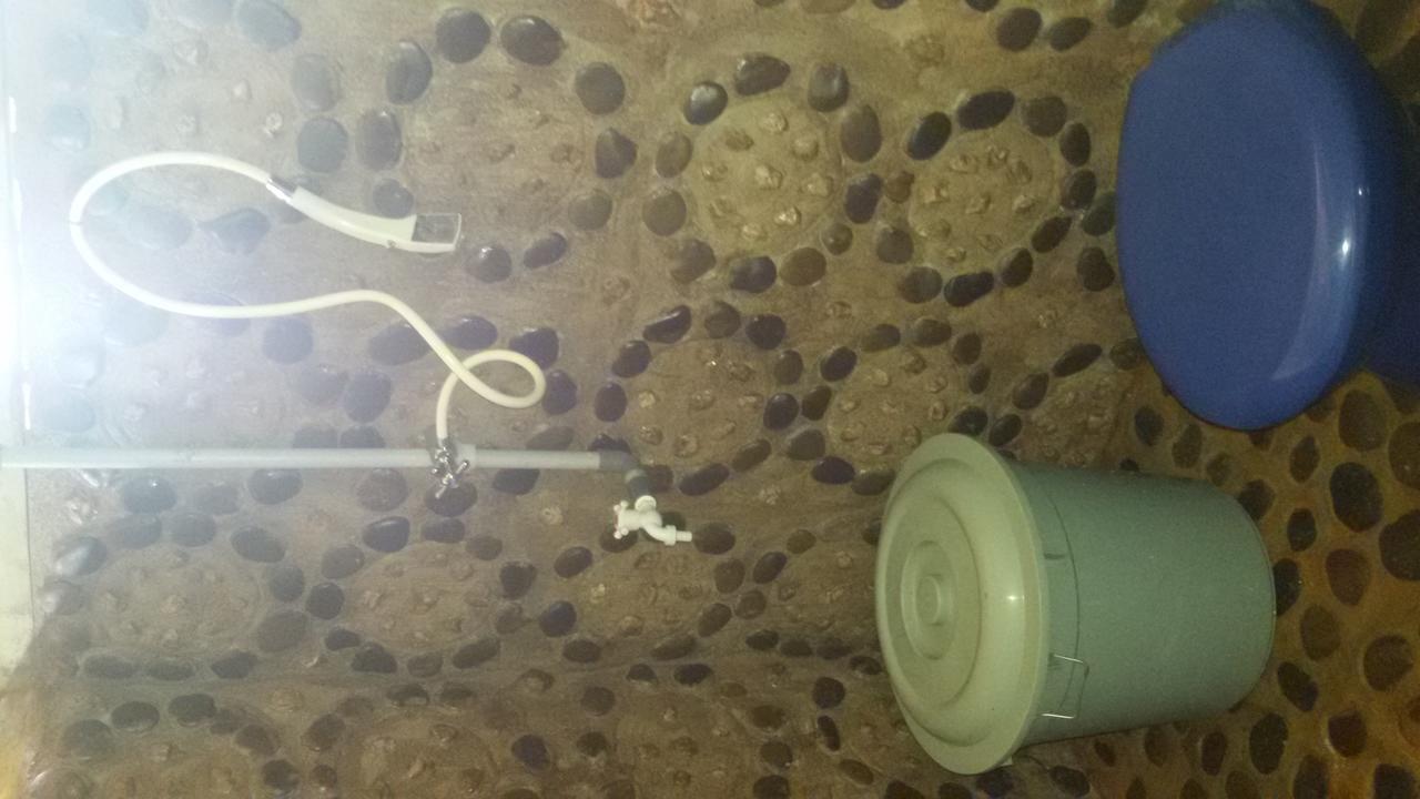 Green Lodge Tangkahan מראה חיצוני תמונה