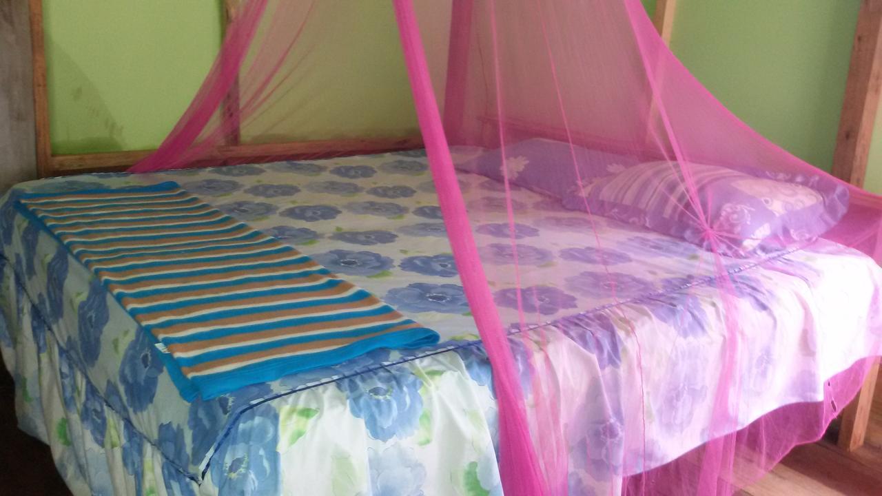 Green Lodge Tangkahan מראה חיצוני תמונה