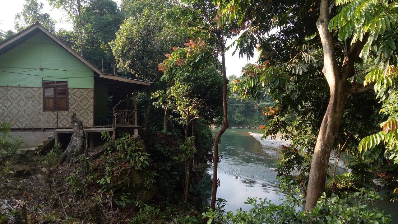 Green Lodge Tangkahan מראה חיצוני תמונה