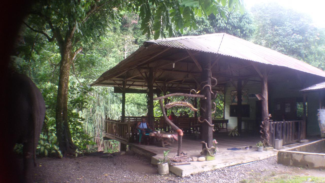 Green Lodge Tangkahan מראה חיצוני תמונה