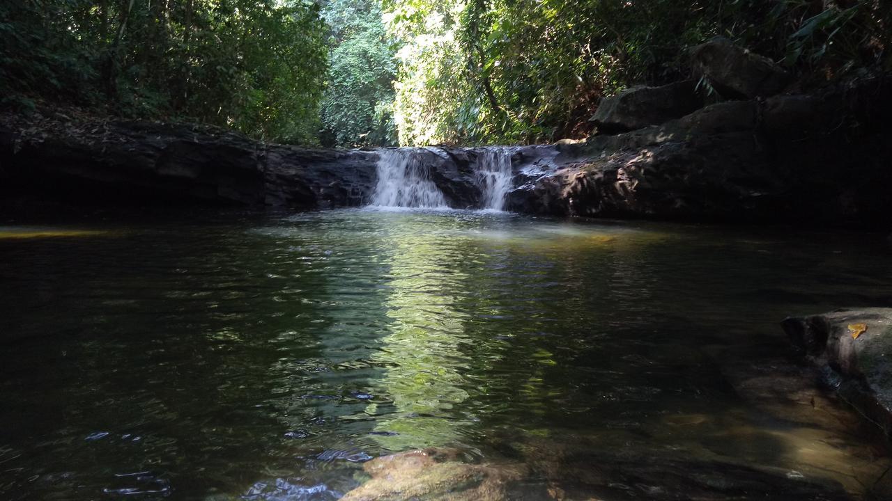 Green Lodge Tangkahan מראה חיצוני תמונה
