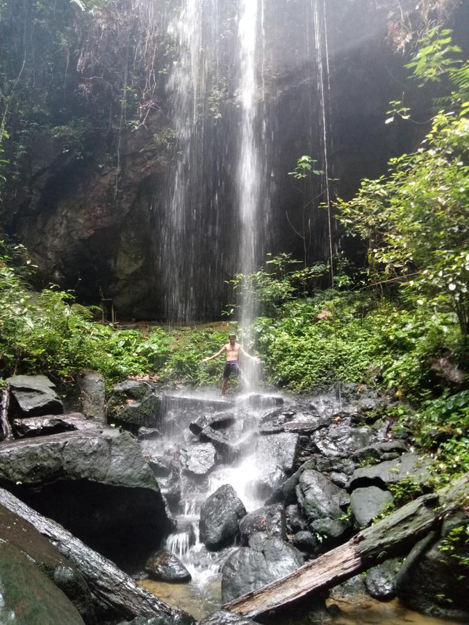 Green Lodge Tangkahan מראה חיצוני תמונה