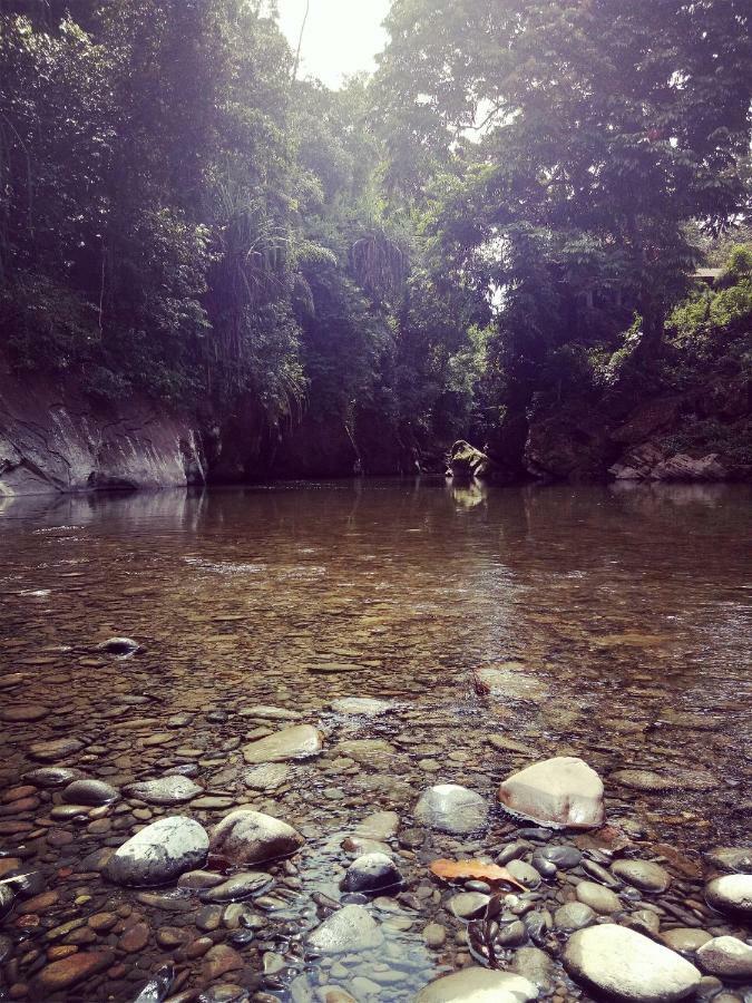 Green Lodge Tangkahan מראה חיצוני תמונה